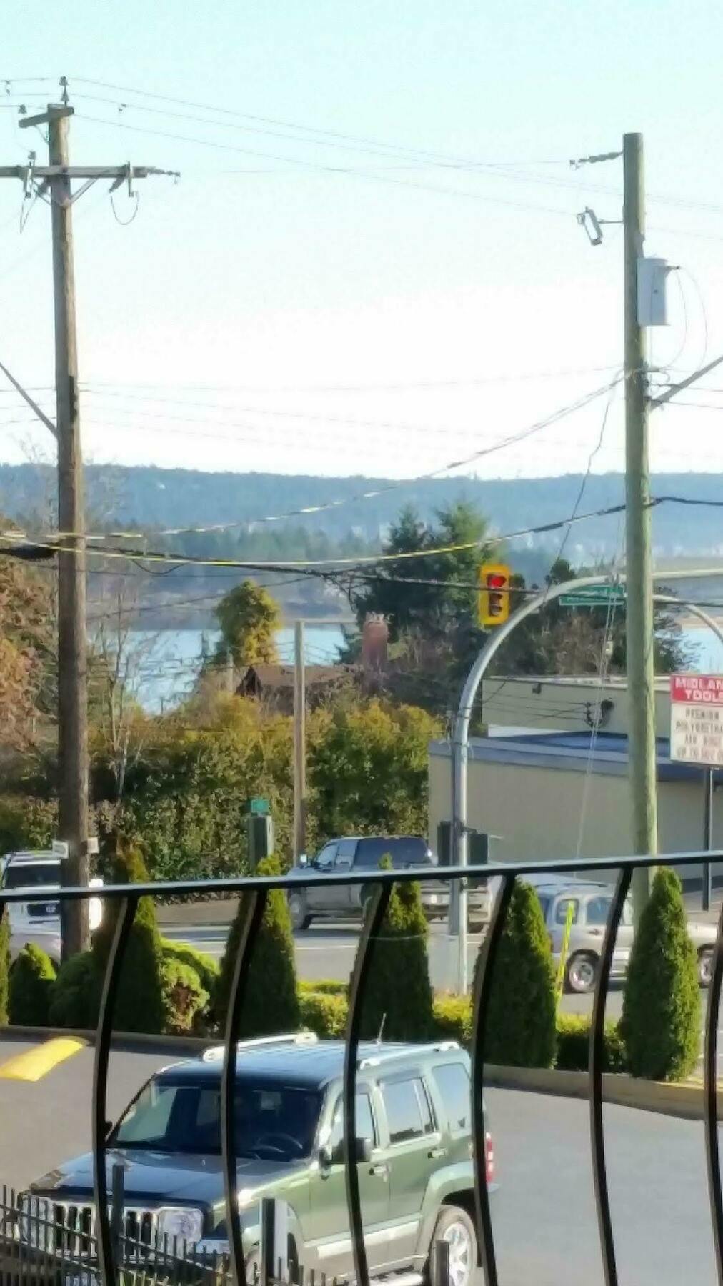 Port-O-Call Inn Nanaimo Bagian luar foto